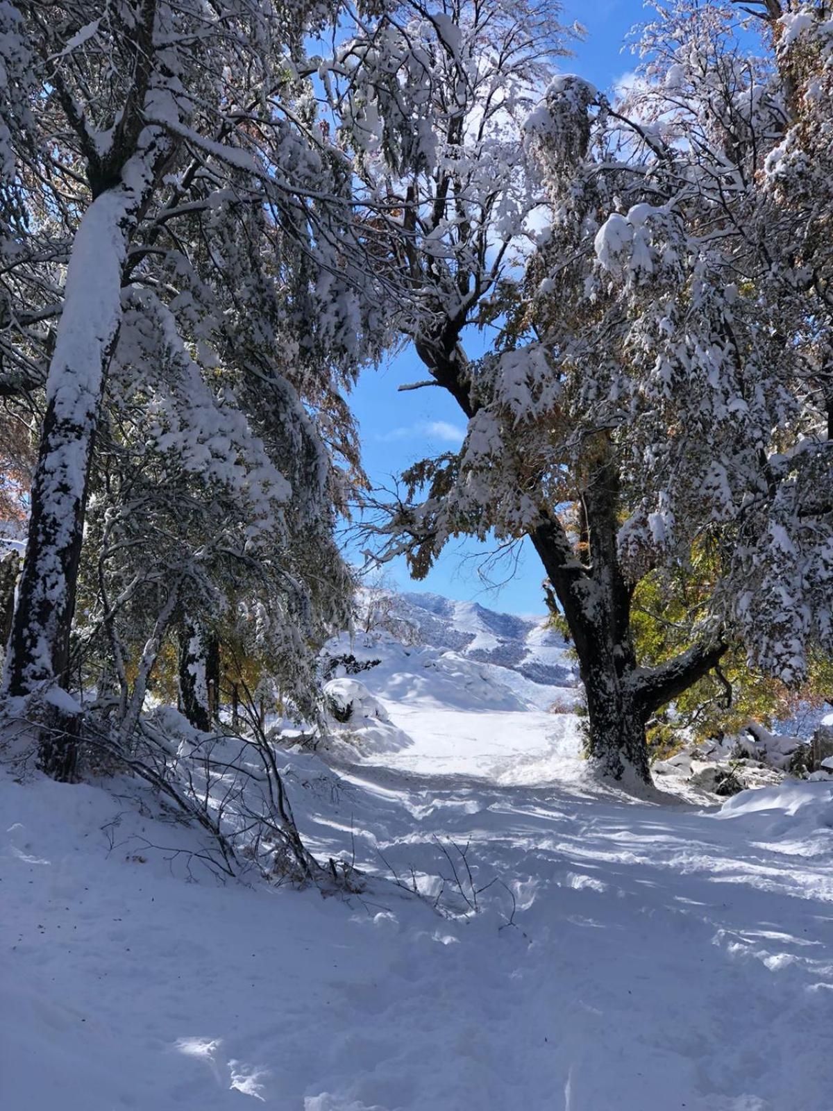 Cabana El Maqui San Martín de los Andes Екстериор снимка